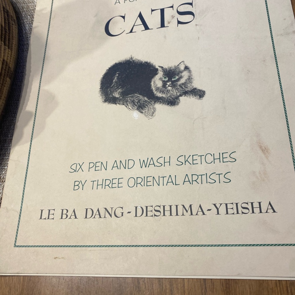 Cat Sketches Art Book